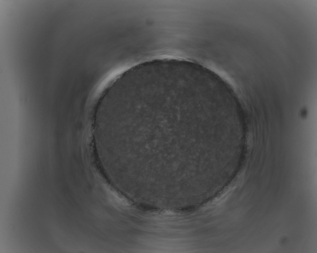 X0000094821359200711241459