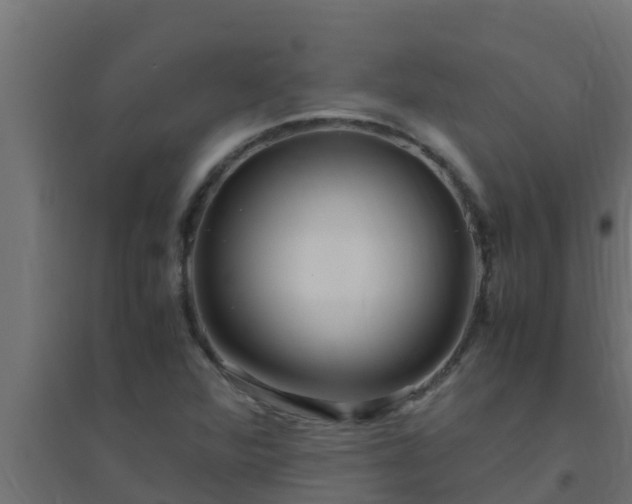 X0000094821360200711241459