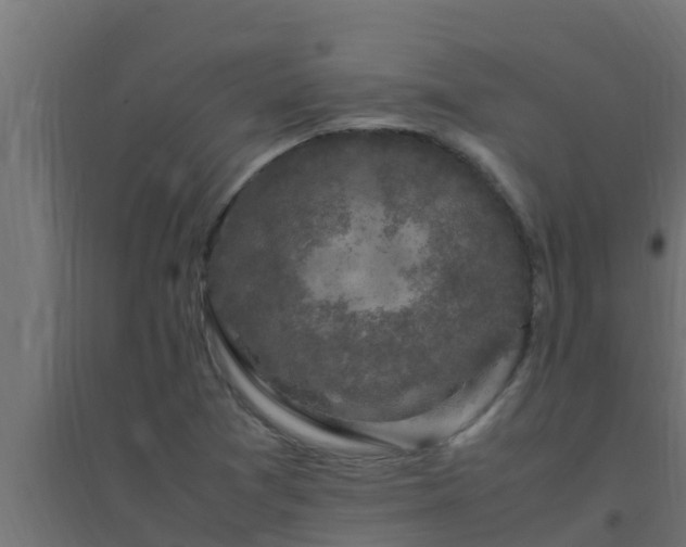 X0000094821361200711241459