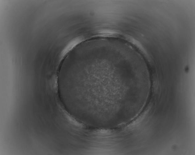 X0000094821362200711241459