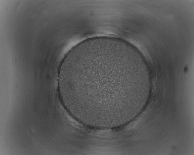 X0000094821363200711241459