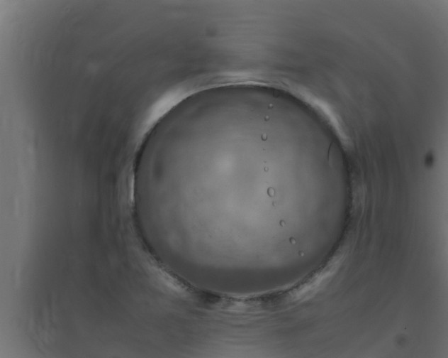 X0000094821365200711241458