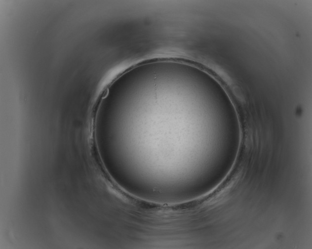 X0000094821366200711241458
