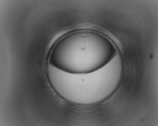 X0000094821368200711241458