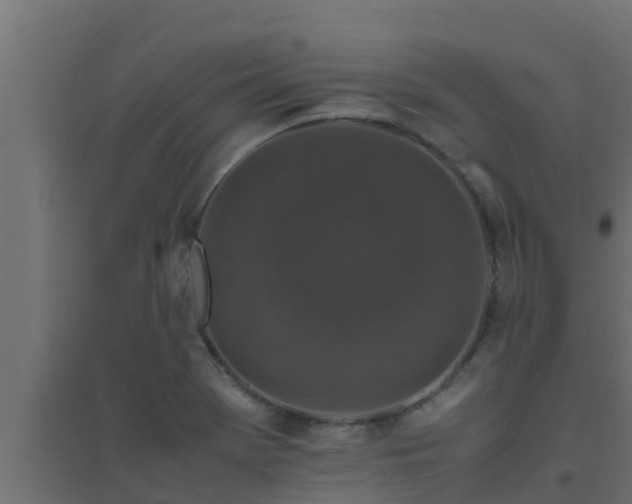 X0000094821369200711241458