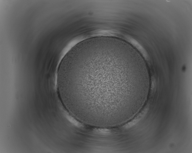X0000094821370200711241458