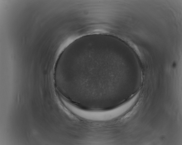 X0000094821373200711241458