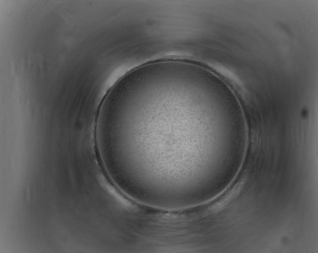 X0000094821374200711241458