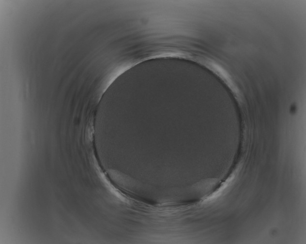 X0000094821377200711241458