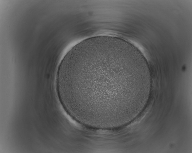 X0000094821379200711241458