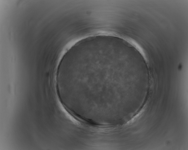 X0000094821381200711241458