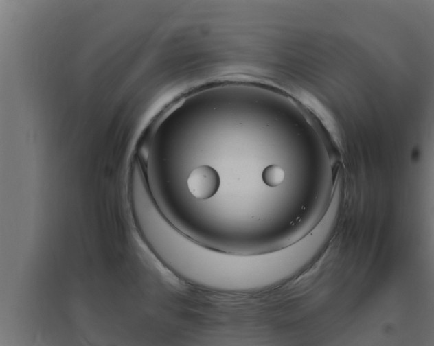 X0000094821384200711241458