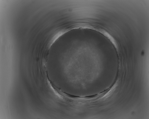 X0000094821385200711241458
