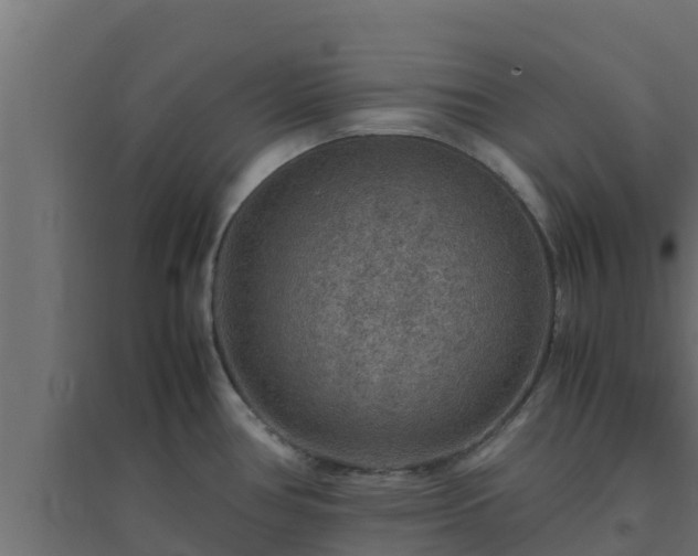 X0000094821386200711241458