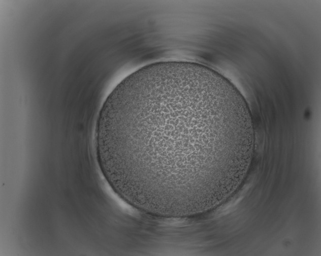 X0000094821387200711241458