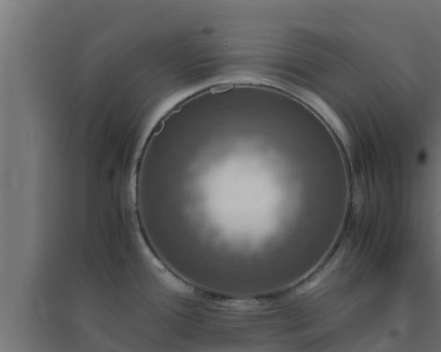 X0000094821388200711241458