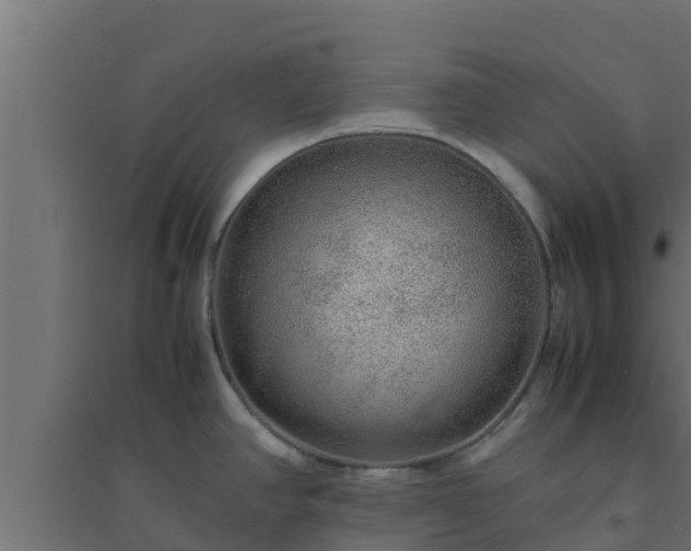 X0000094821390200711241458