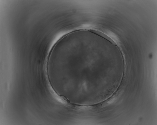 X0000094821392200711241458