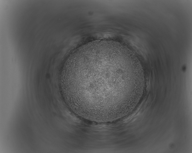 X0000094821393200711241457