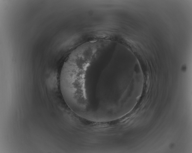 X0000094821394200711241457