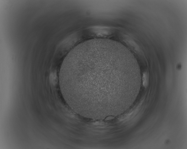 X0000094821395200711241457