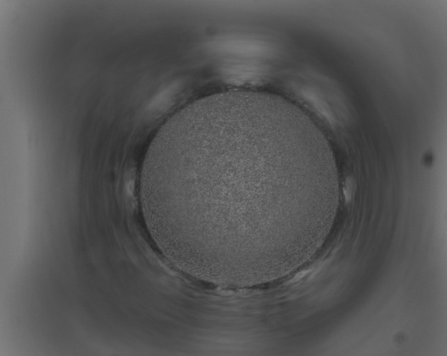 X0000094821396200711241457
