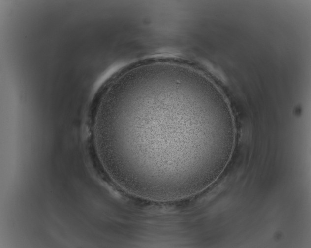 X0000094821400200711241458