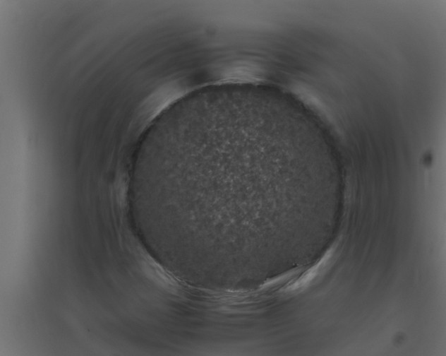 X0000094821401200711241458