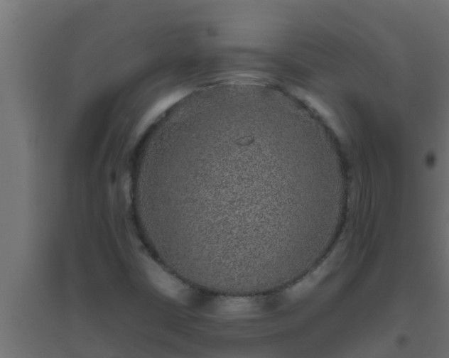 X0000094821402200711241458