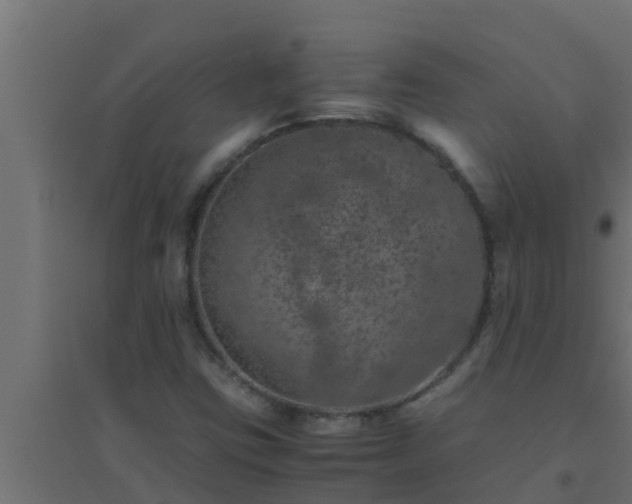 X0000094821403200711241458