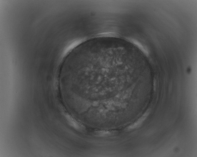 X0000094821405200711241458