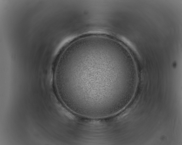 X0000094821408200711241458