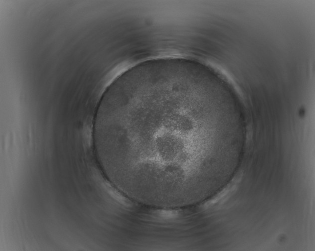 X0000094821409200711241458