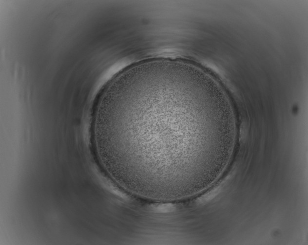 X0000094821410200711241458