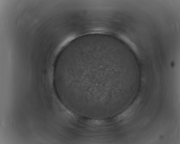 X0000094821411200711241458