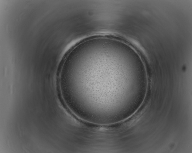 X0000094821412200711241458