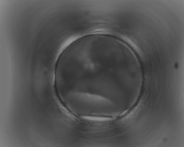 X0000094821413200711241458