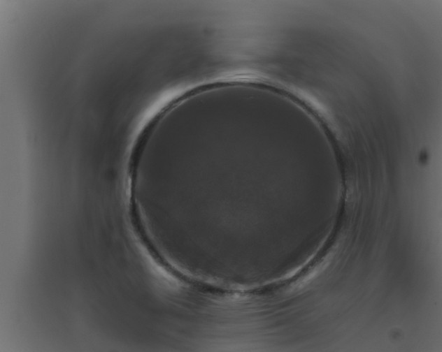 X0000094821414200711241458