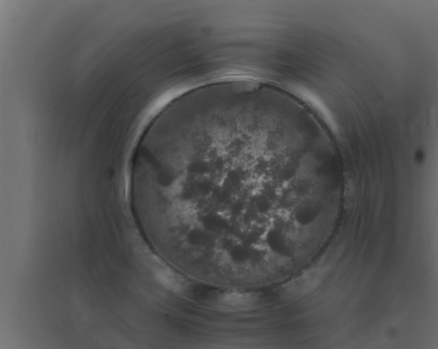 X0000094821419200711241458
