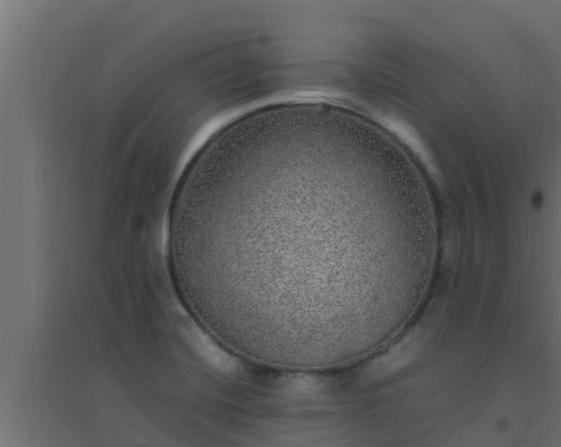 X0000094821420200711241458