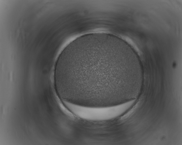 X0000094821421200711241458