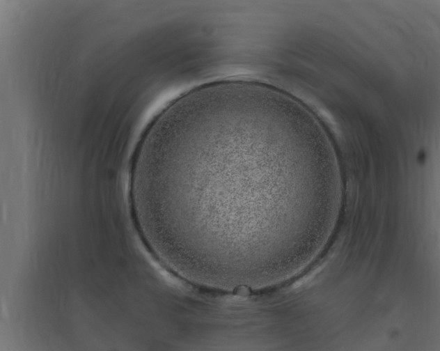 X0000094821424200711241458