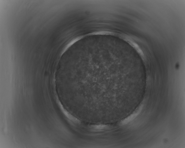X0000094821425200711241458