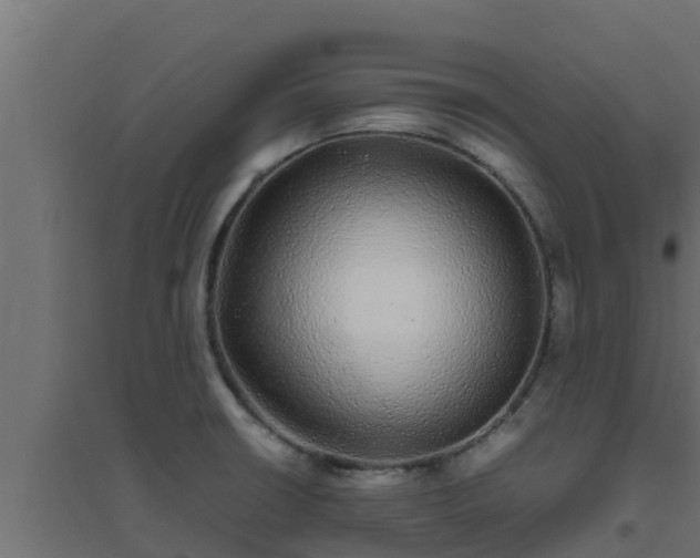 X0000094821426200711241458