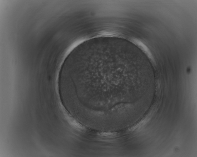 X0000094821427200711241458