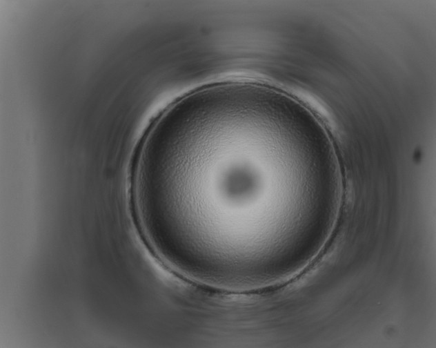 X0000094821430200711241458