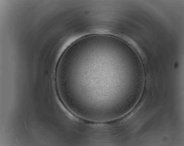 X0000094821432200711241458