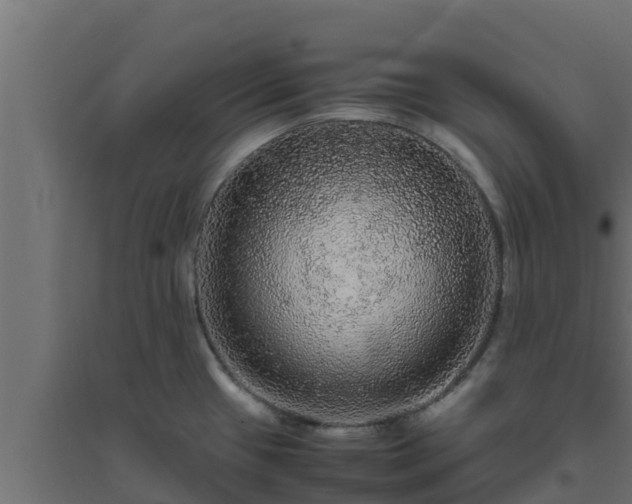 X0000094821433200711241458