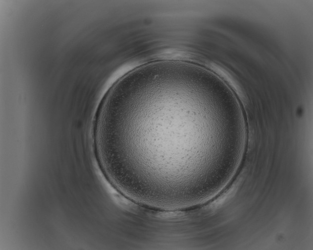 X0000094821434200711241458