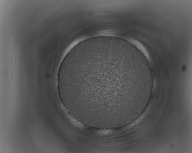 X0000094821435200711241458